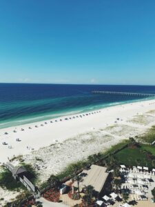 🌴 I Just Moved to Florida From Minnesota… Now What?