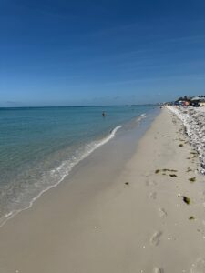 Moving from Minnesota to Bonita Springs? This might be the perfect fit 🌴